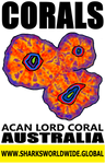CORALS ACAN V2 T