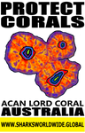 PC ACAN V2 T