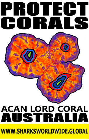 PC ACAN V2 M