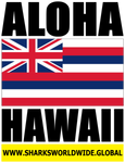 ALOHA2 HI V2 T