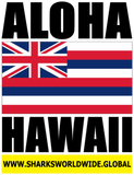 ALOHA2 HI V2 T