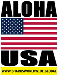 ALOHA USA V2 M