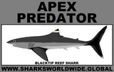 AP BLACKTIP REEF C