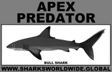 AP BULL SHARK C