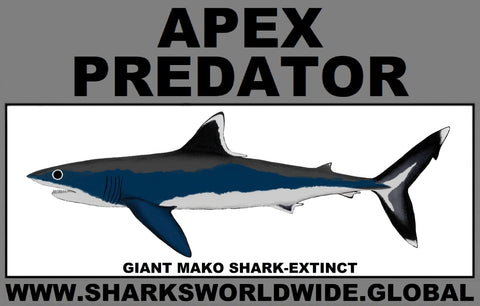 AP GIANT MAKO C