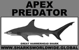 AP G HAMMERHEAD C