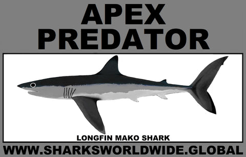 AP LONGFIN MAKO C