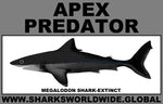 AP MEGALODON C