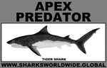 AP TIGER SHARK C