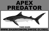 AP TIGER SHARK C