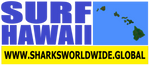 4AS HI F/R T