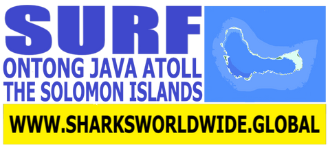 4AS ONT F/R T