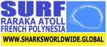 4AS RARA F/R T