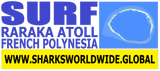 4AS RARA F/R T