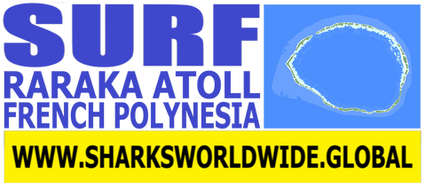 4AS RARA F/R T