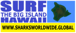 4AS TBI HI F/R T