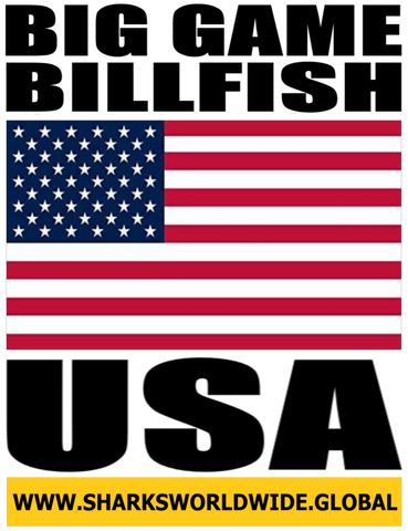 BG BILL USA V2 M