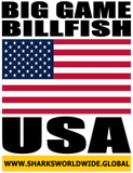 BG BILL USA V2 C