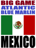 BG ABLUM MEX M