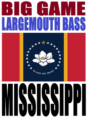 BG LMB MS C