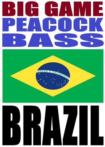 BG PB BRA B