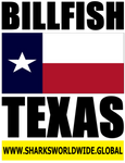 BF TX V2 T
