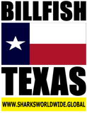 BF TX V2 T