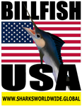 BF USA V4 T