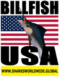 BF USA V4 T