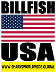 BF USA V2 T