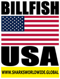 BF USA V2 T