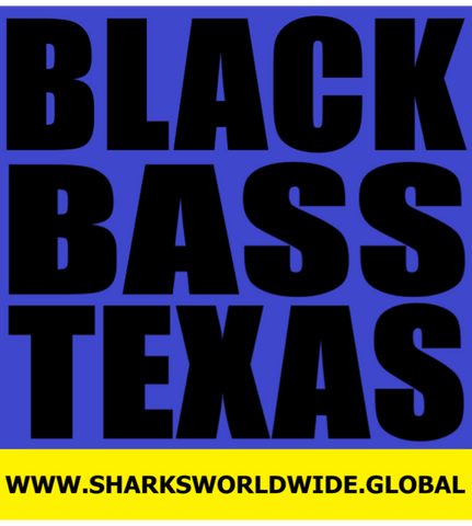 L1 BBLU TX F/R T