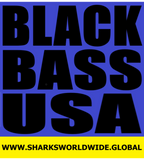 L1 BBLU USA  F/R T