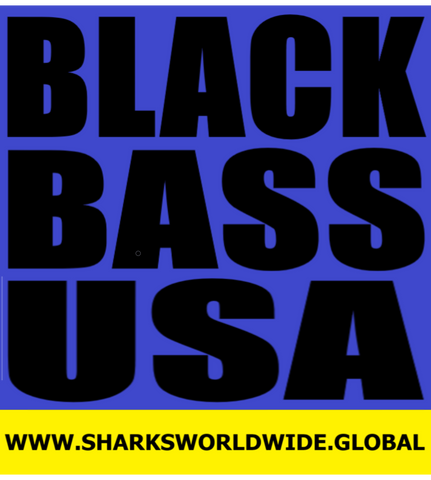 L1 BBLU USA  F/R T