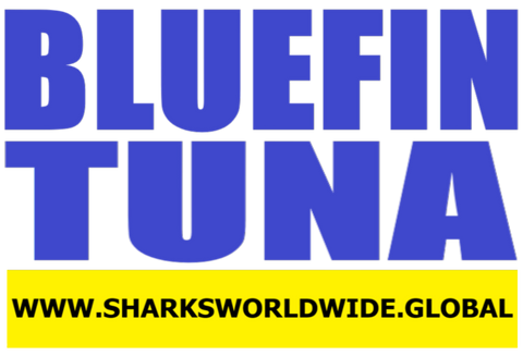 TUNAT BLUF M