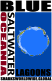 BLUEO M