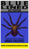 BL OCTOPUS V2 T