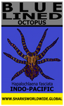 BL OCTOPUS V2 M