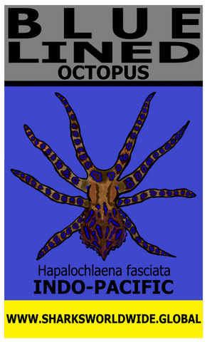 BL OCTOPUS V2 M