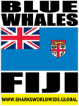 BLUE W FIJI T2