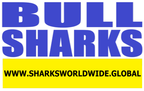 SHNBT BULL F/R T