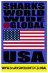 SHDG USA BLUE V2 T