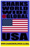 SHDG USA BLUE V2 T