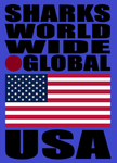 SHDG USA BLUE V1 T