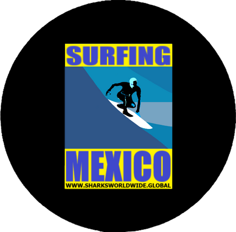 BSFNG MEX CAP