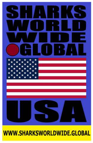 SHDG USA BLUE V2C T