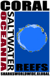 CORAL O M