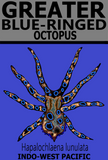 GBR OCTOPUS V1 M