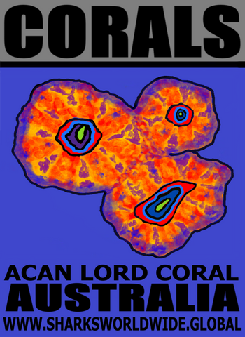 CORALS ACAN  M