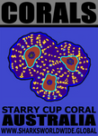 CORALS STARRY T